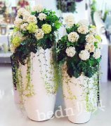 大堂花艺
