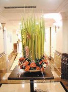 大堂花艺