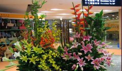 大堂花艺