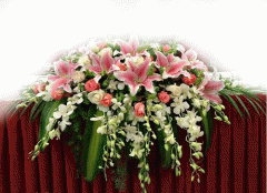 会议台花