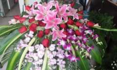 会议台花