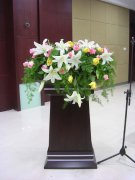 会议台花