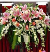 会议台花