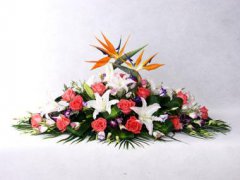 会议台花